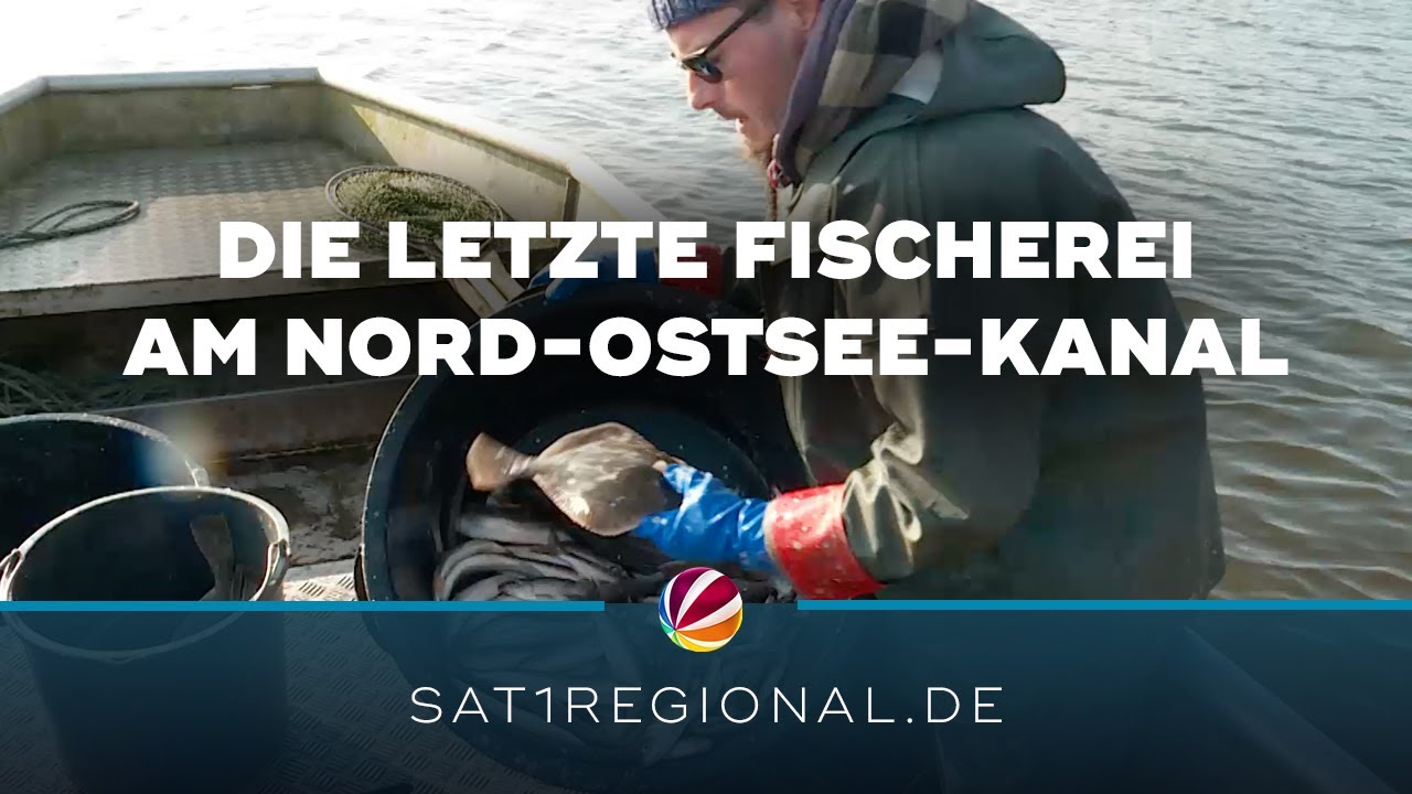 Heringsfang: Die letzte Fischerei am Nord-Ostsee-Kanal