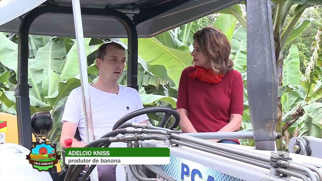 Biofertilizante na produção de banana!