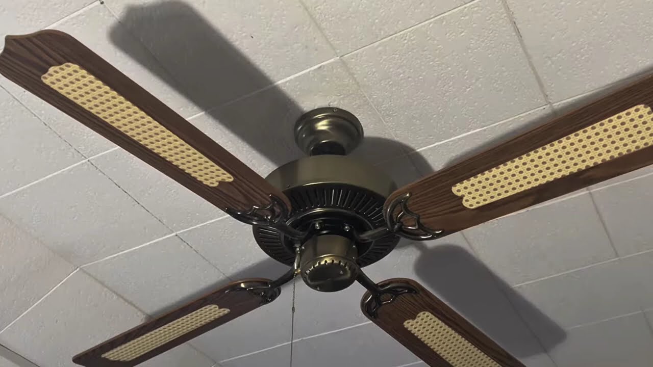 Fans I found on google maps