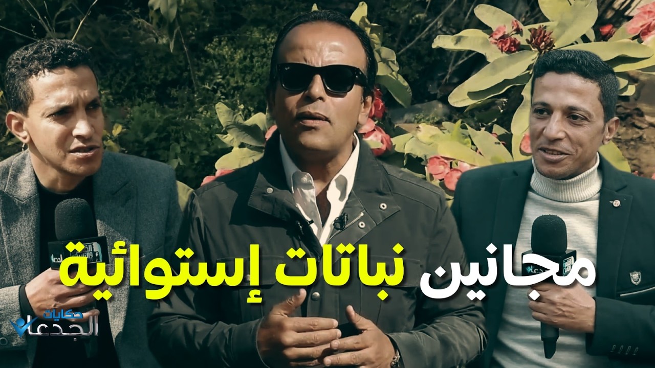 حكاية مشاتل الشرقية للنباتات الإستوائية.. محمد ومحمود مجانين أشجار استوائية