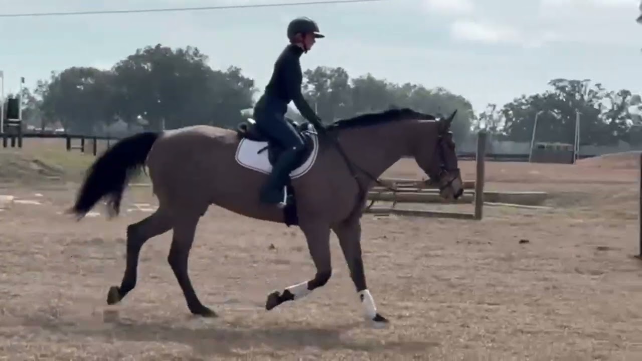 HSH Best Kept Secret_Sales Video January 2026