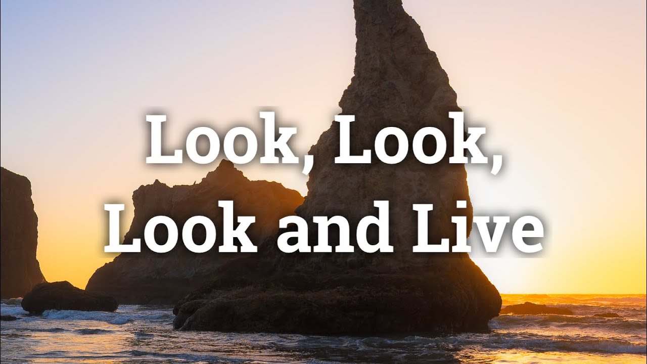 Look, Look, Look and Live - David Collier