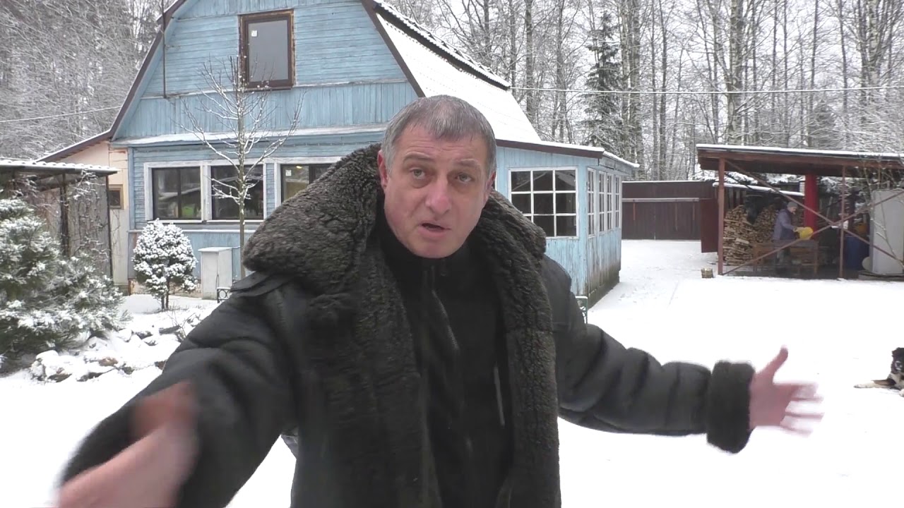 Мое мнение о широкохвостых!