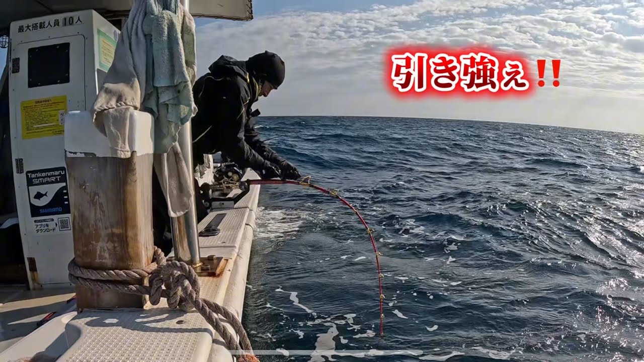 長崎県野母崎沖で高級魚クエ（アラ）を狙う‼️