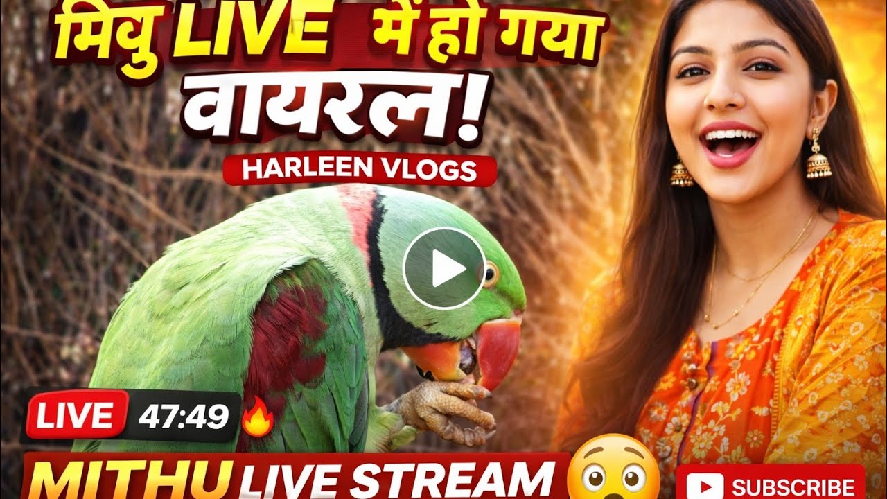 Mithu LIVE 😱 Aaj Fir Se Viral! | Harleen Vlogs | Mithu Live Stream
