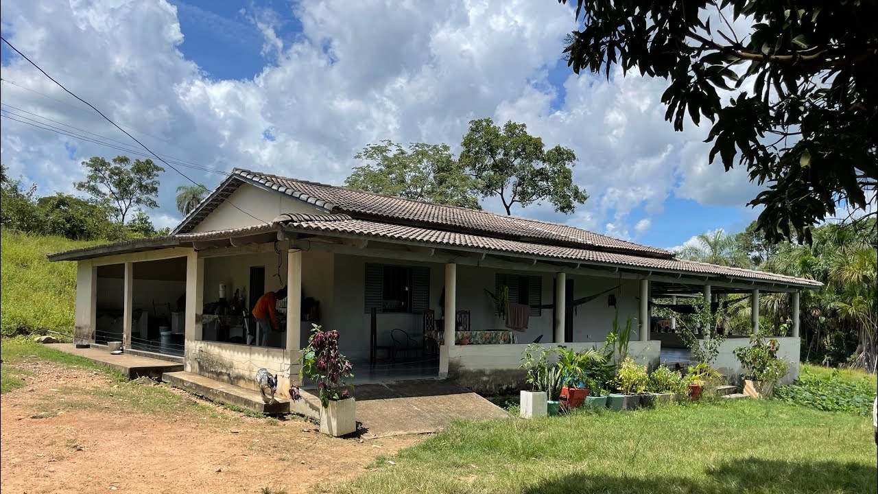 Fazenda a venda no Tocantins em Barrolândia/TO#pecuaria#lazer 09 Alqueires