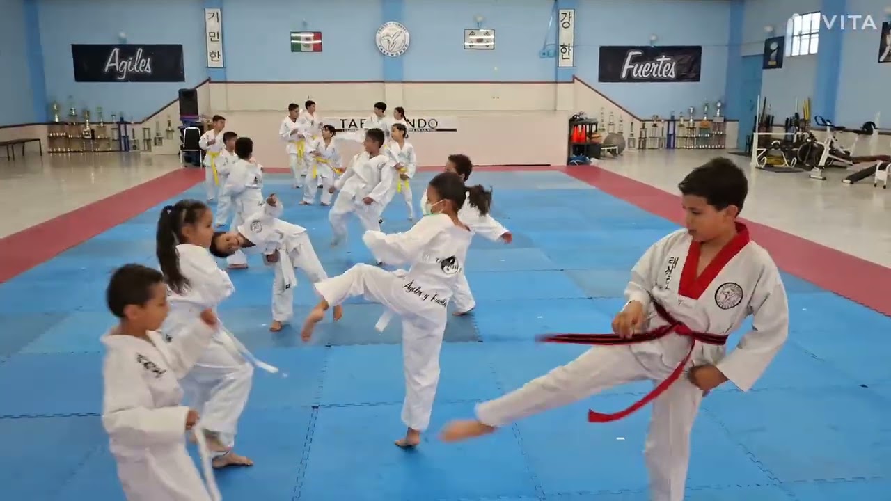 Ágiles y Fuertes Taekwondo DOYANG CENTRAL 