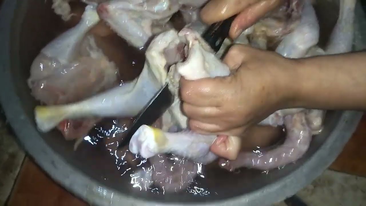 انتهاء دوره فراخ بيضاء بتاعه رمضان بالاعشاب مش هتصدقي