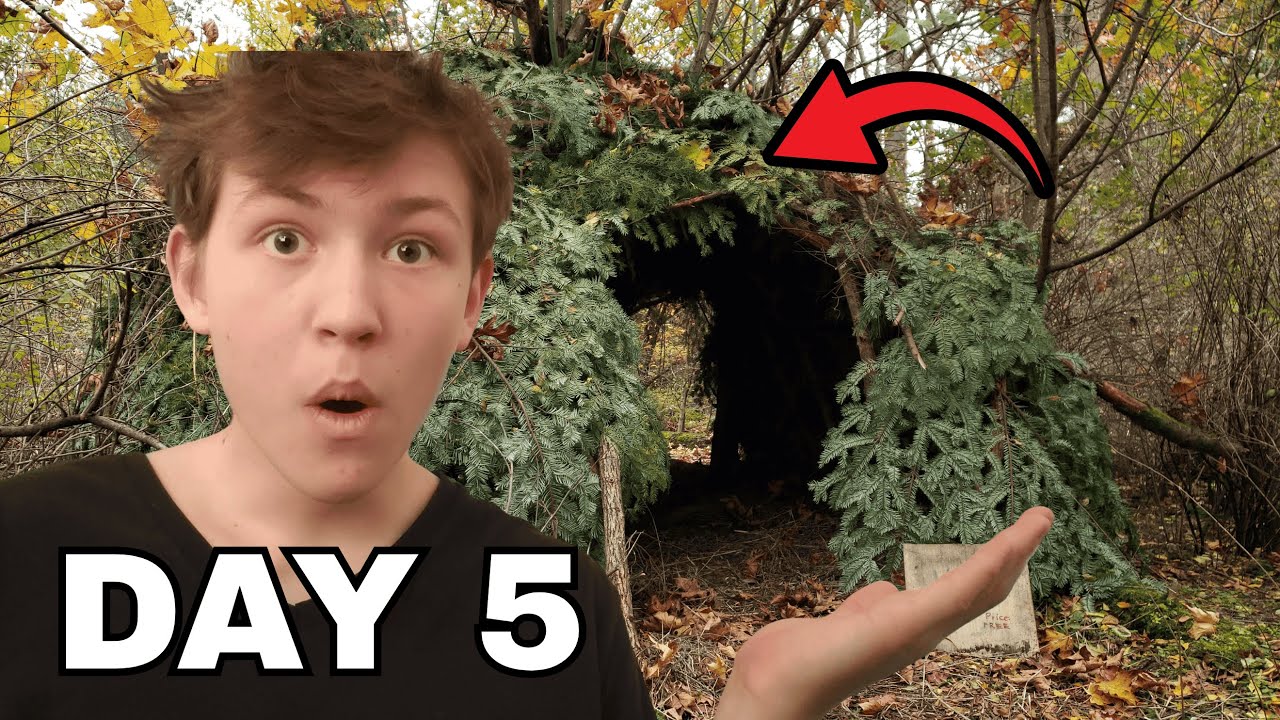 I Built a Shed in the Forest (part 5)!
