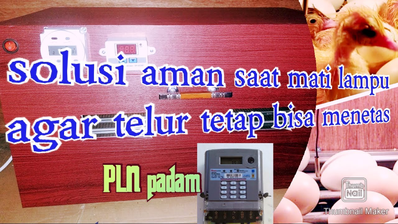 solusi saat mati lampu ketika menetaskan telur pada  mesin penetas