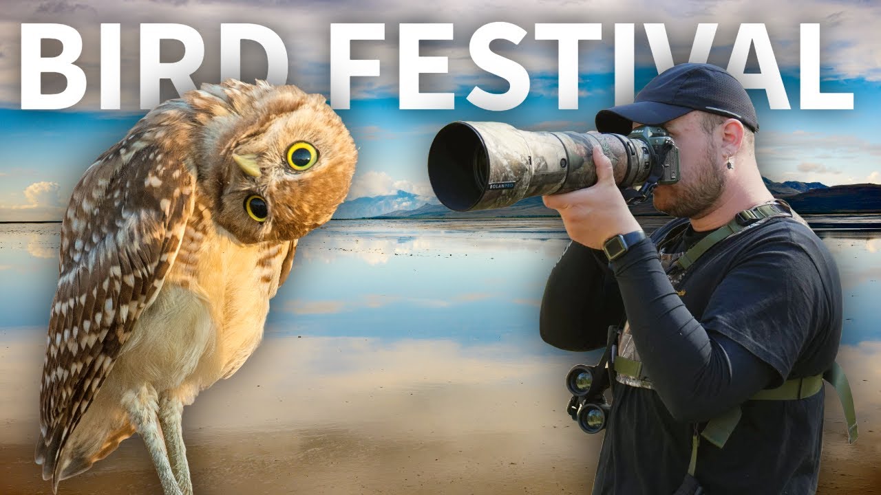 Epic Birding at the Great Salt Lake Bird Festival!