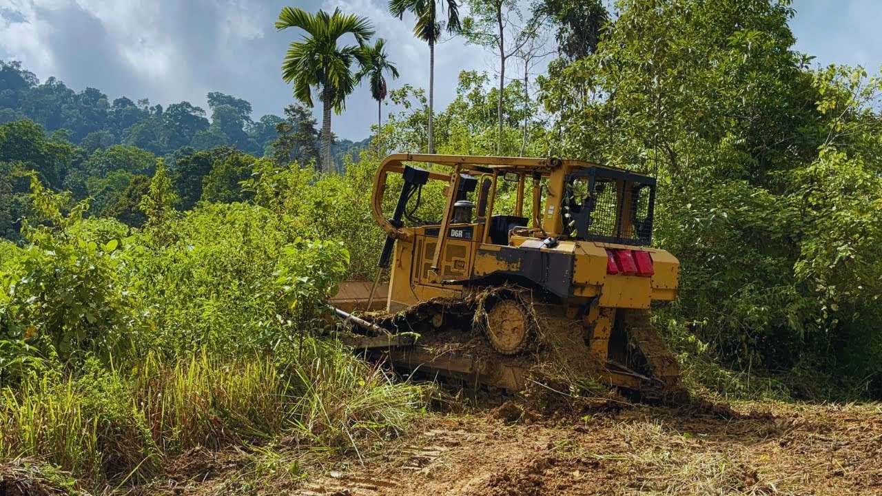 CRAZY! This Bulldozer Dares to Cut a Path Through the Dense Jungle! You Won’t Believe What Happens!
