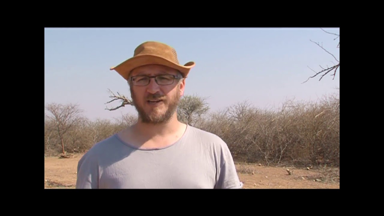 bush thinning- Green Horizons a New frontier