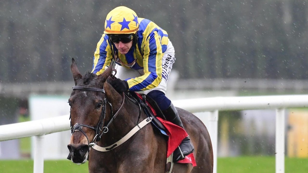 Leader D'Allier stamps class for Mullins at Punchestown | Full Replay | 2026 | Racing TV