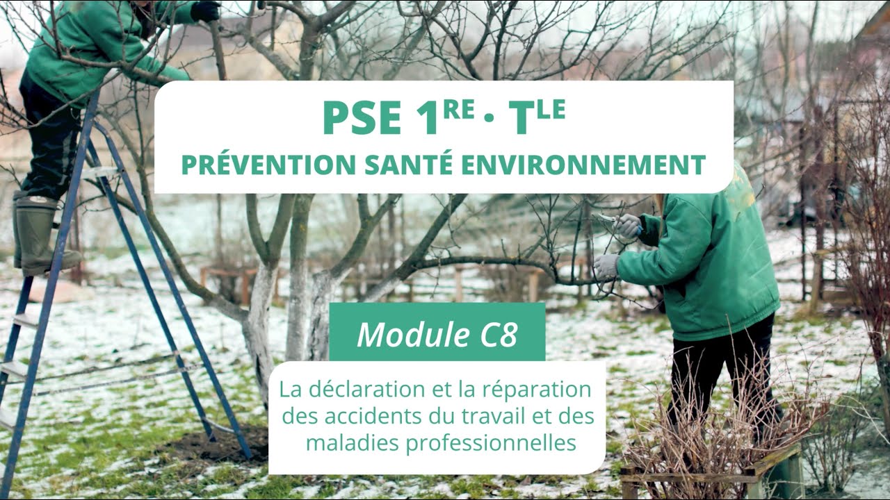 PSE module C8 : La déclaration et la réparation des accidents du travail et des maladies pro.