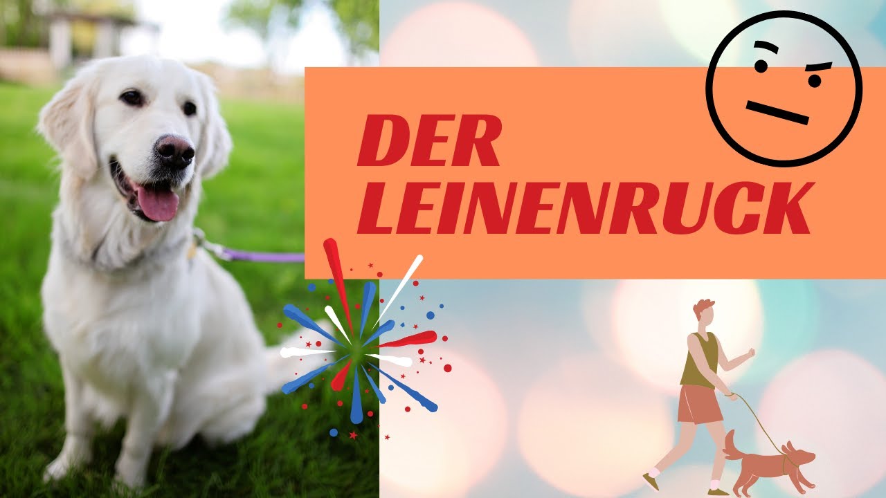 Leinenruck als Trainingsmethode; Vor-und Nachteile dieser Methode