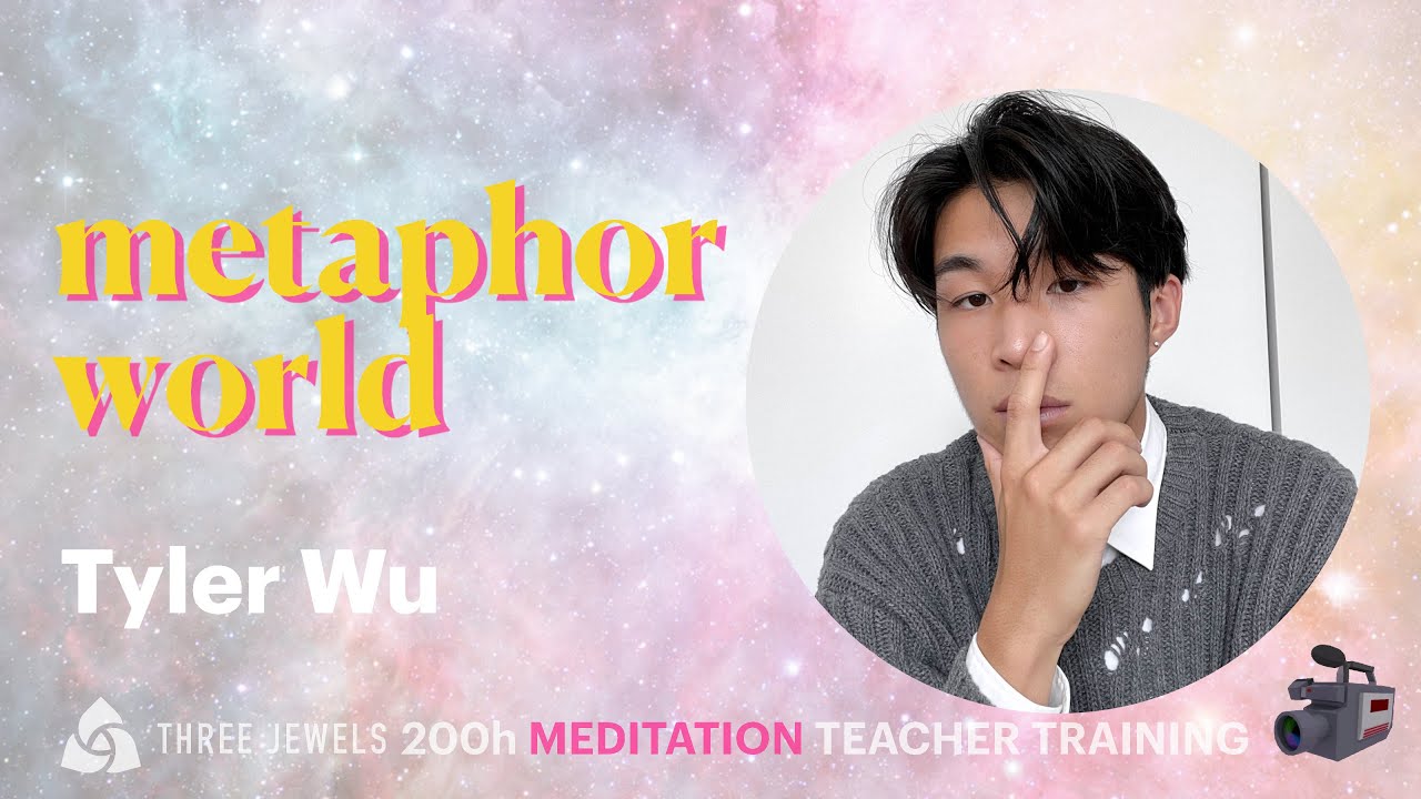 Tyler Wu - Metaphor World