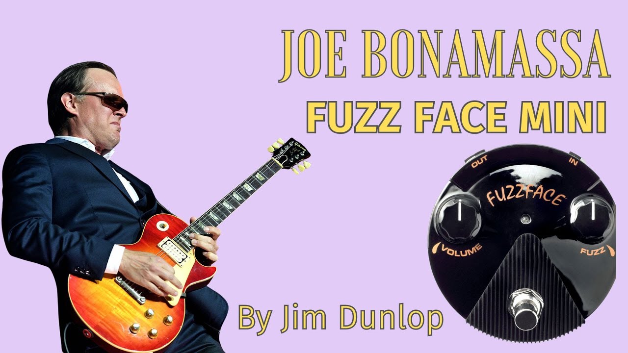 Джо Бонамасса Fuzz Face Mini (обзор)