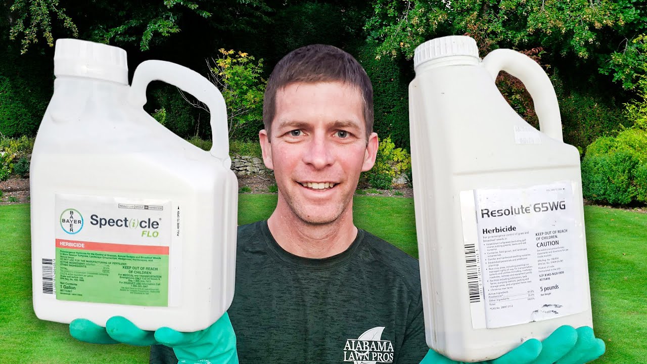 What's the Best Pre Emergent Herbicide for Lawns?