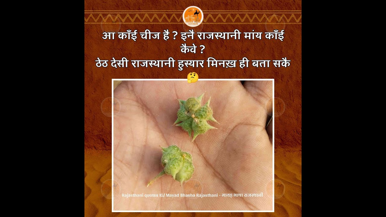 कोई होशिंयार आदमी ही बता सके