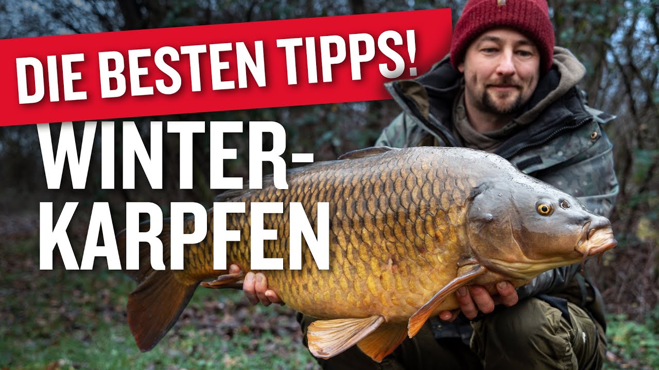 Karpfenangeln im Winter: DIESE TIPPS machen den Unterschied! ❄️🔥