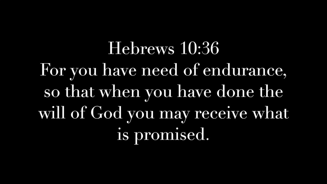 Hebrews 10:36