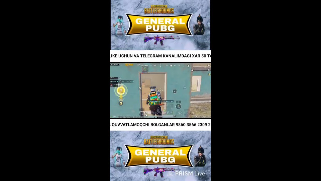SHOW MATCH GO LIVE PUBG