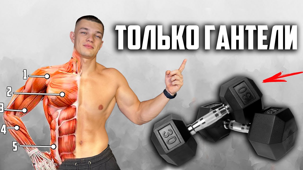 КАК НАКАЧАТЬСЯ ТОЛЬКО ГАНТЕЛЯМИ (ГОТОВЫЙ ПЛАН ТРЕНИРОВОК НА ВСЕ ТЕЛО)