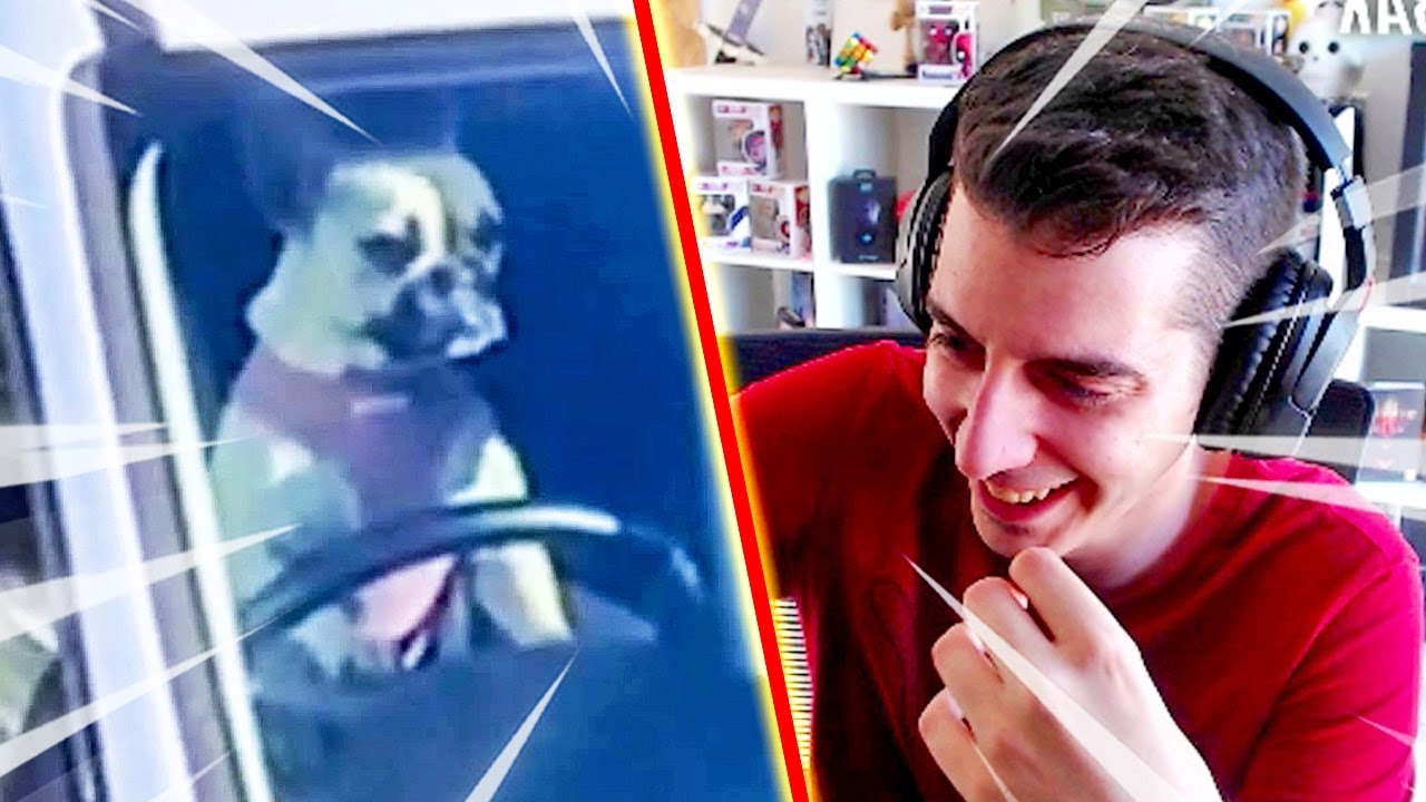 FESBAK REACCIONA a UNUSUAL MEMES COMPILATION! 😂 #9