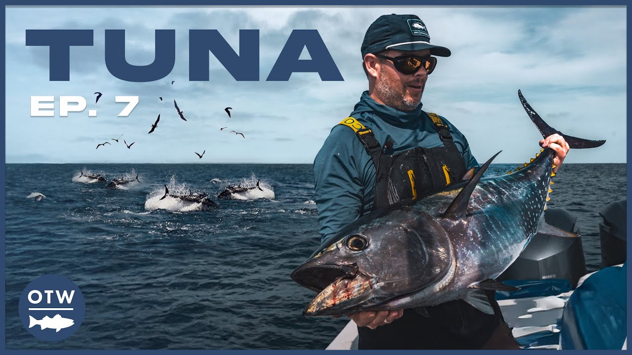 CATCHING TUNA from Top to Bottom | S22 E07