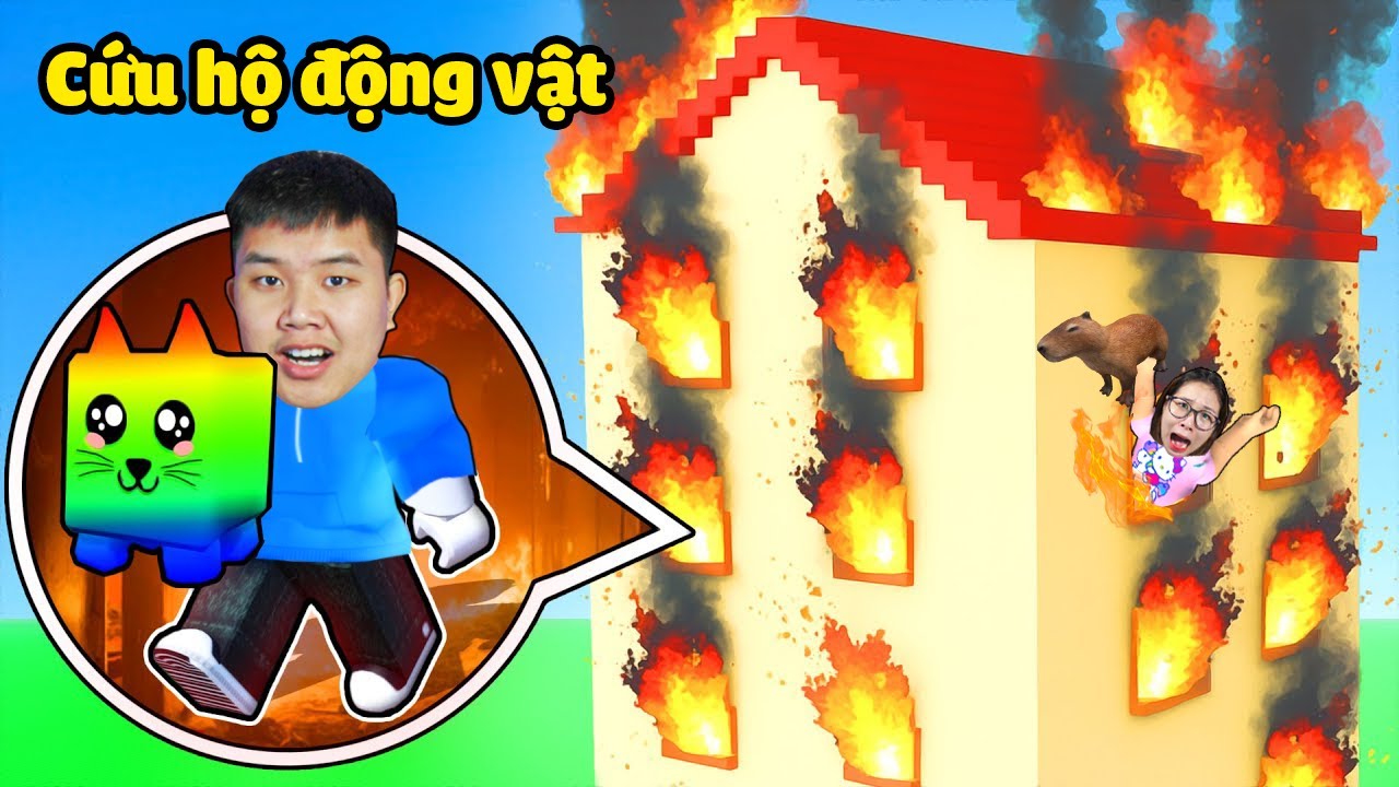 Cứu hộ động vật gặp nguy hiểm mang về nuôi làm thú cưng cùng bqThanh & Ốc
