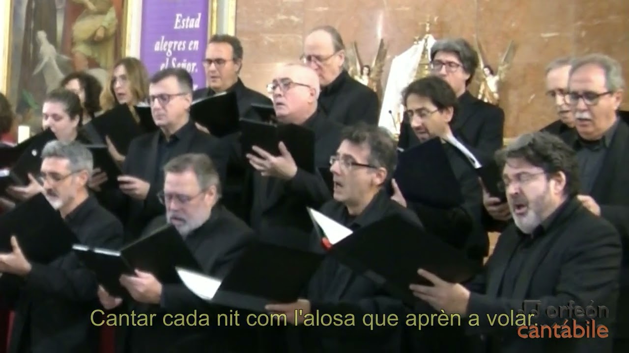 SOMRIURES I LLÀGRIMES. Sonrisas y lágrimas. THE SOUND OF MUSIC. Orfeón Cantábile. 21/12/2023