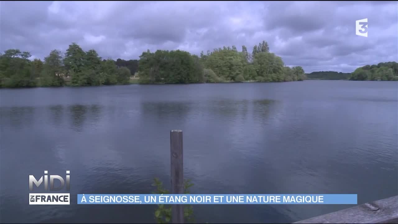 A Seignosse, un étang noir et une nature magique