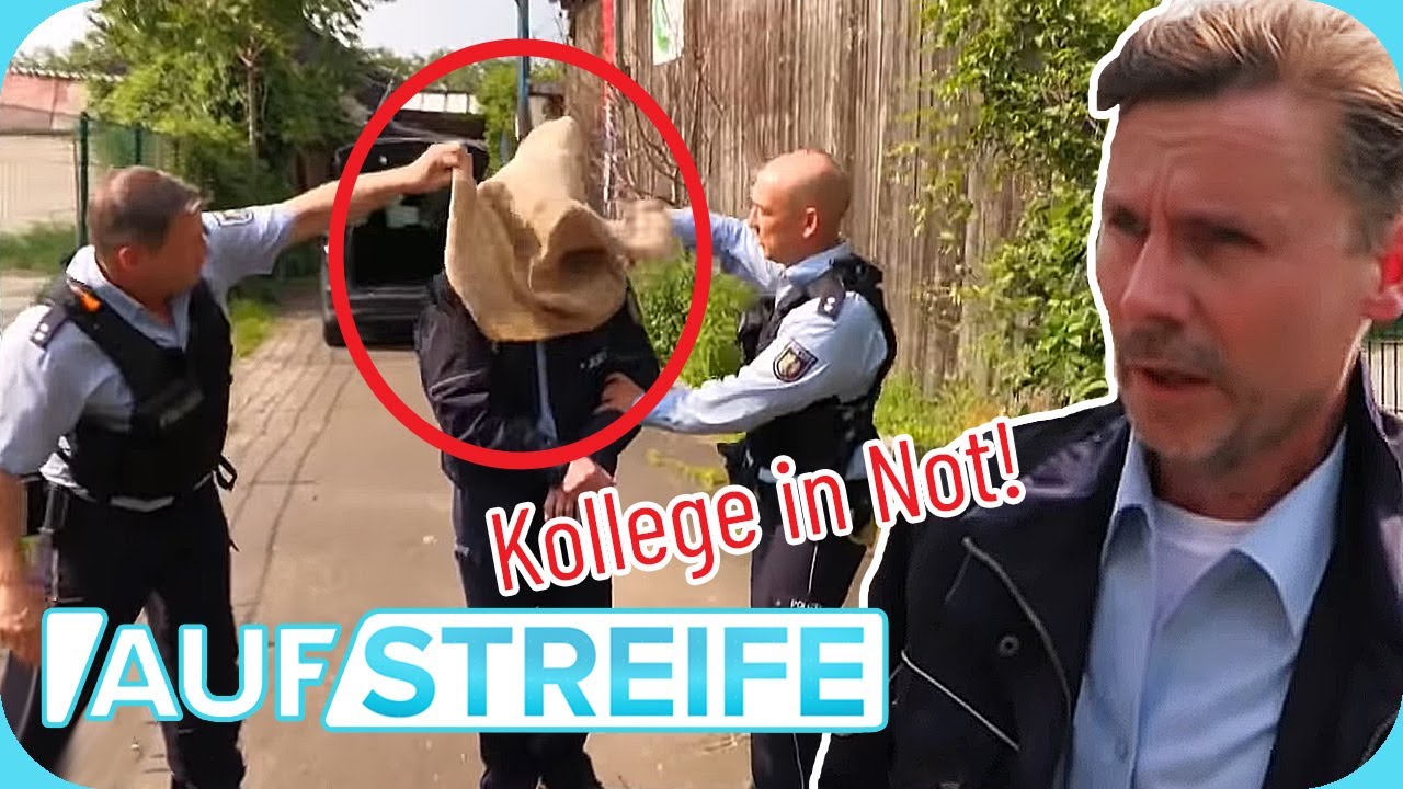 Gefängnisausbruch! 👮🏼‍♂️ Beamter überwältigt, Häftling auf der Flucht! | Auf Streife | SAT.1