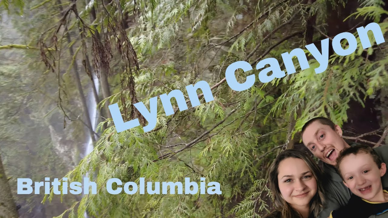 Lynn Canyon Park, British Columbia -  Nature Walk.