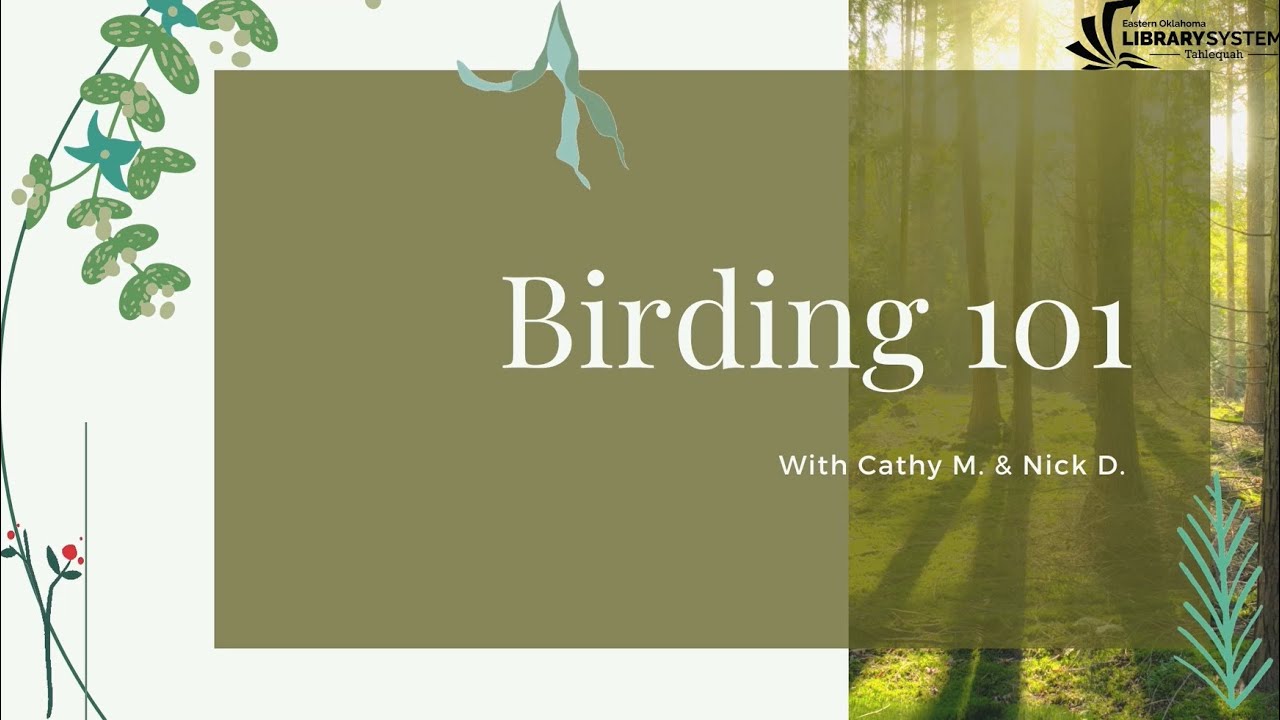 Birding 101