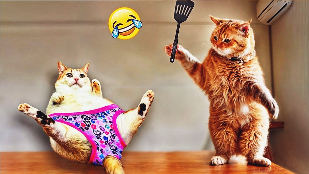 Try Not To Laugh 🌭 Funniest Cats & Dogs 😻 Funny Animals