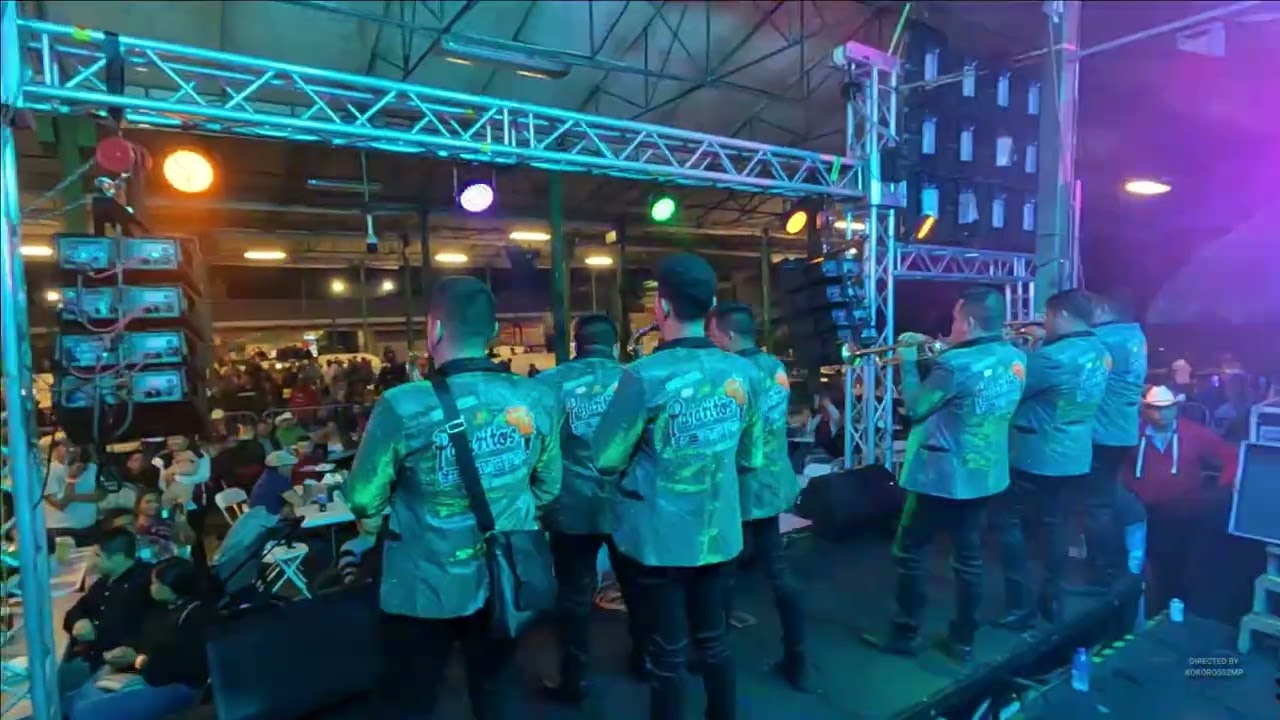 LOS PAJARITOS DE TACUPA MICH 2022