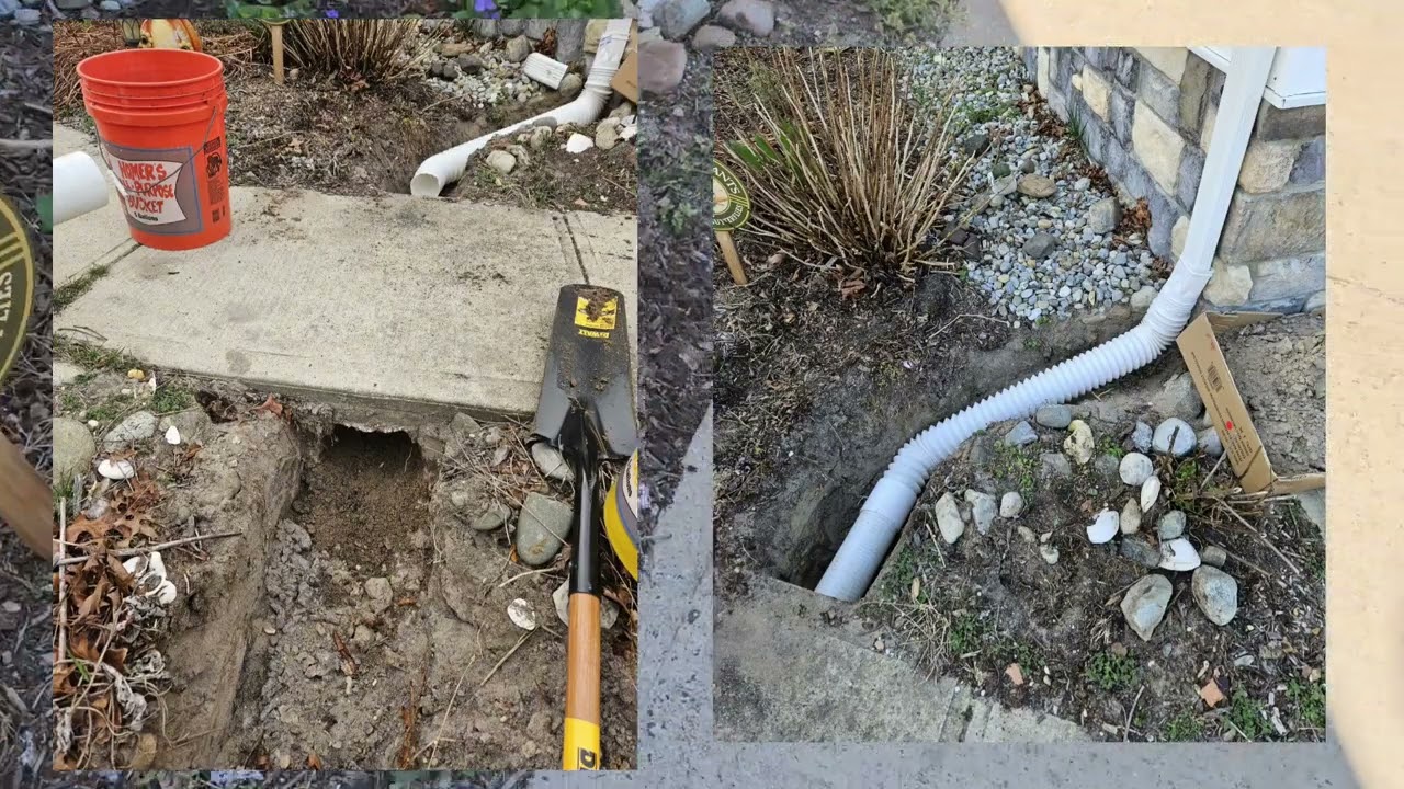 Adding American Cranberry to the Rain Garden and Food Forest