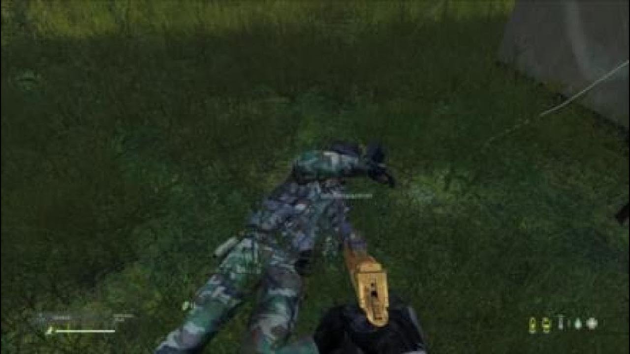 DayZ