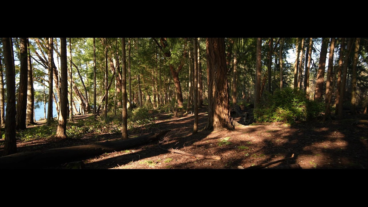 Titlow Park and Titlow Beach, anamorphic, 4K 24fps, some ASMR (brightness gets fixed later)