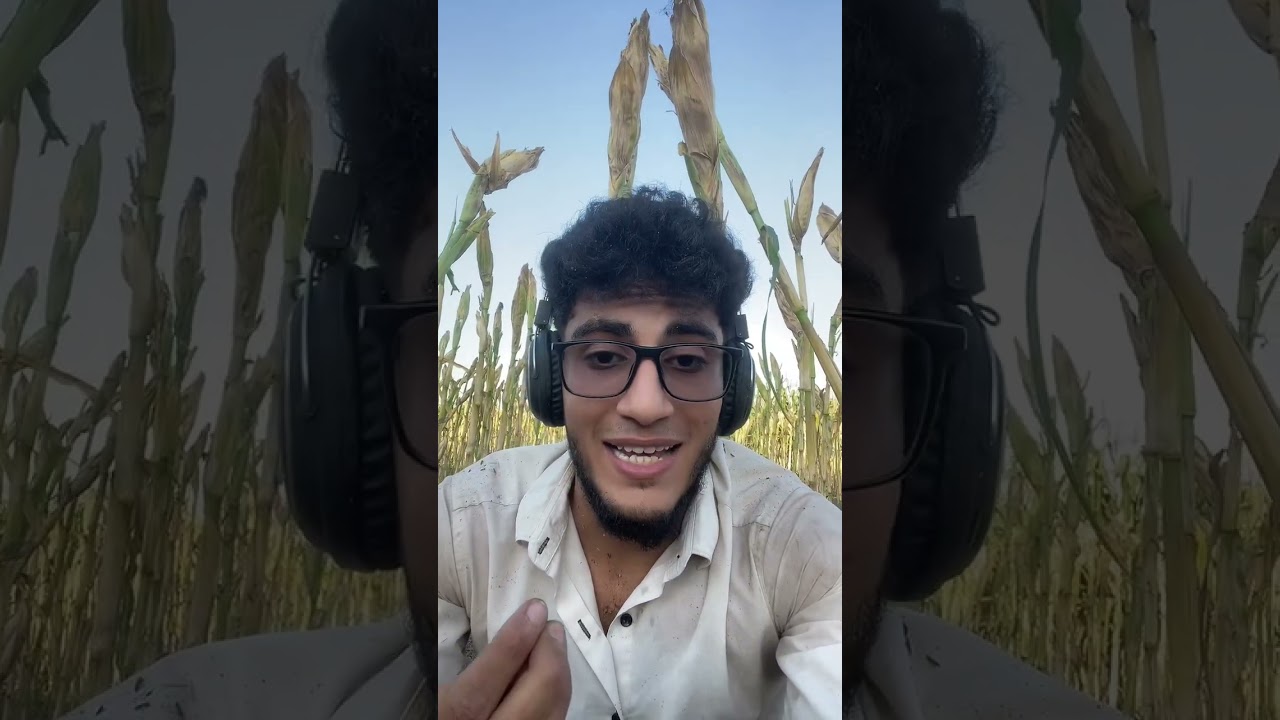 كلام مهم جدا ليك  ف حياتك 