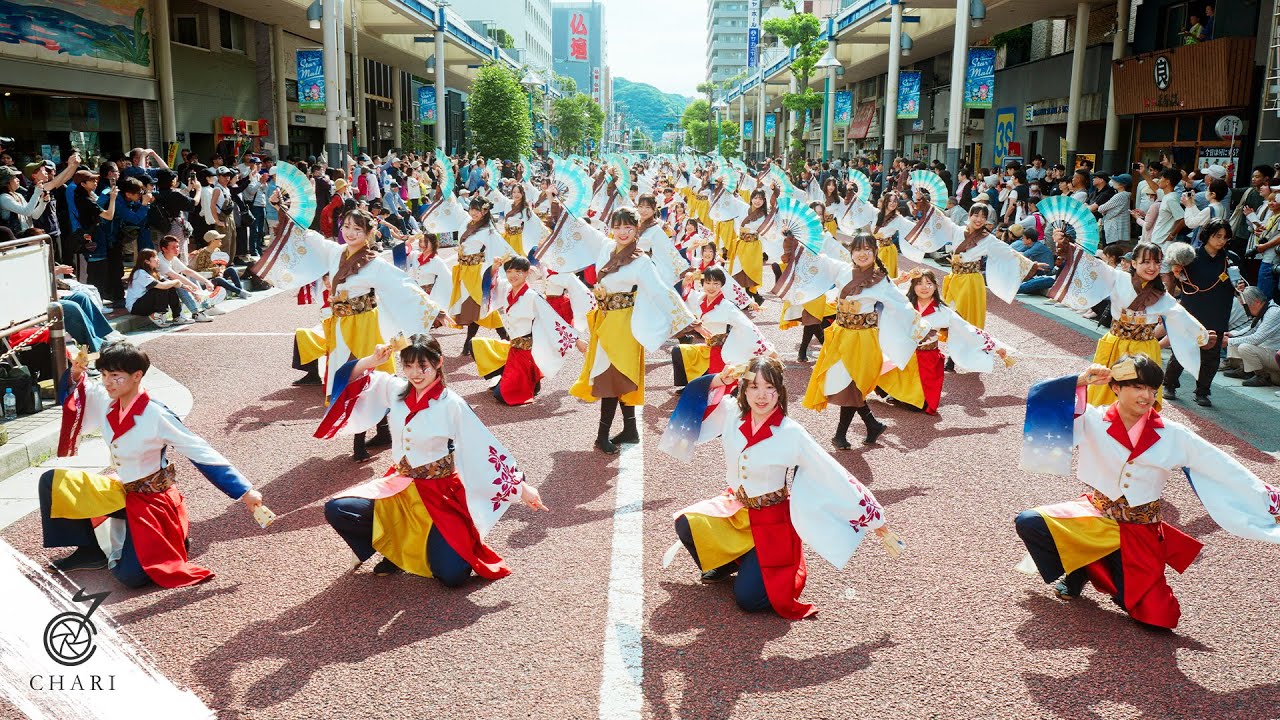 【8K】早稲田大学 東京花火『彩の輪』（湘南よさこい祭り/ Tokyo Hanabi 2025 “Ironowa”）