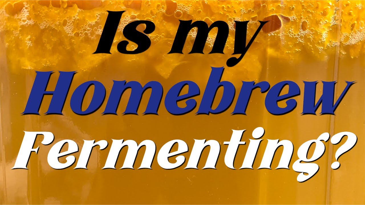 What is Fermentation and What Does it Look Like?