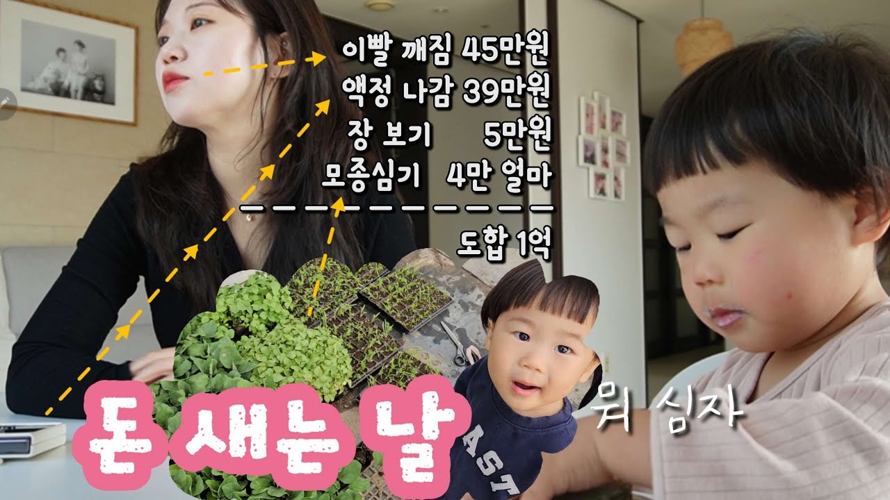 ✨️돈 좔좔 나가는 날✨️, 이빨 치료하고😬, 핸드폰 고치고, 모종도사고, 장도보고 쓸데없이 바쁜 하루