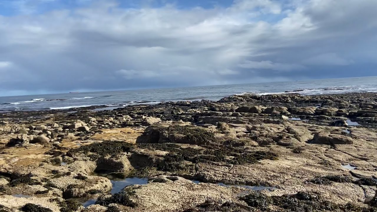 My next video fishing Whitburn wherry 2