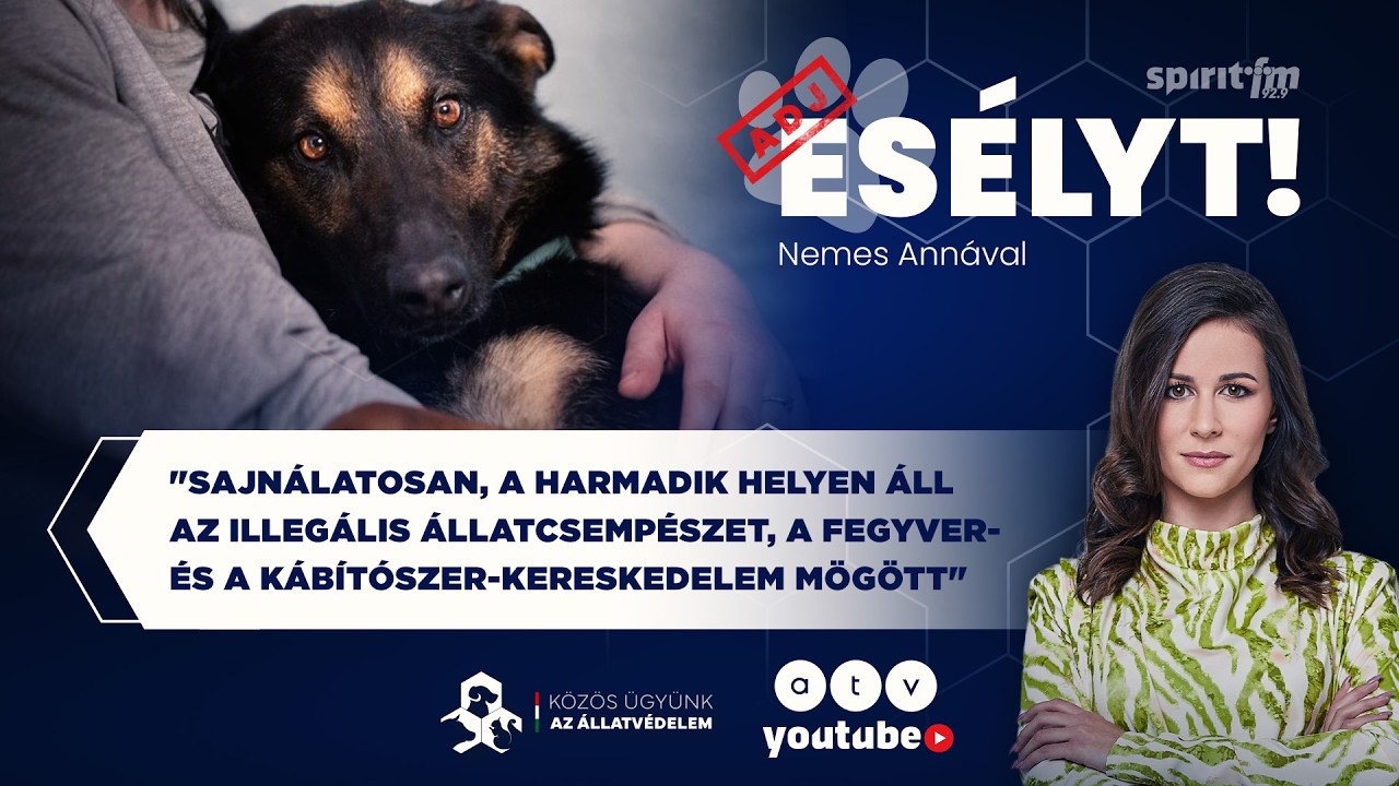 Illegális állatkereskedelem | ADJ ESÉLYT!