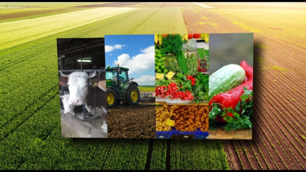 20 AGROKANAL - API RIZNICA HANDAČIĆ 14-02-2026