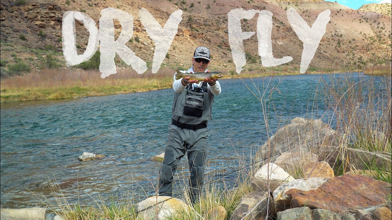 Epic Dry Fly Fishing!