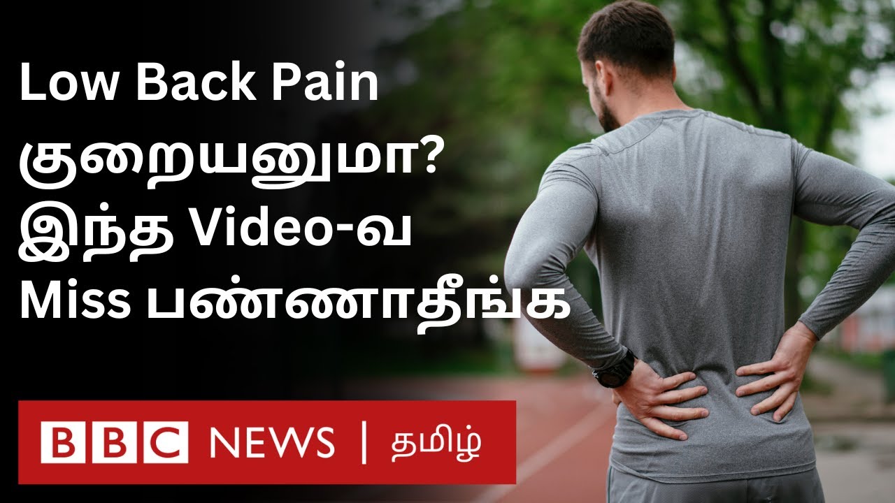 Low Back Pain: கீழ் முதுகு வலி எதனால் ஏற்படுகிறது? வலி தீர்வதற்கு வழி என்ன? - Explained